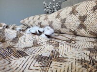 Комплект постельного белья Дымка, GOFRE - фото 4