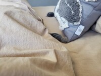 Комплект постільної білизни Варена бавовна, Latte Washed Cotton W1121 - фото 3