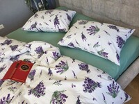 Комплект постельного белья Лавандин/Полынь, Turkish flannel