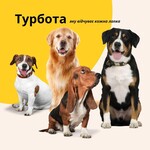 Лежак для собак и кошек, 70 x 110 x 12 см, микрофибра, с чехлом на молнии, серый, ТМ IDEIA - фото 7