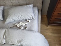 Комплект постельного белья LOFT №71, cotton