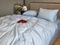 Комплект постільної білизни Небесно-блакитний, Turkish flannel - фото 10