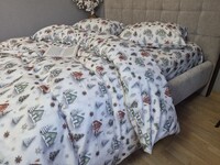 Комплект постільної білизни Новорічна Ніч Turkish Flannel 5D білий з будиночками - фото 9