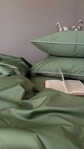 Комплект постельного белья Пастельный зеленый SD-5907, сатин LUX, наволочки с кантом, пошив под размеры