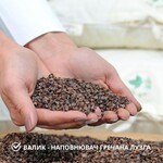 Подушка ортопедична Гречаний Комфорт 50 x 70 см з наволочкою, з валиком для підтримки шиї, ТМ IDEIA - фото 7