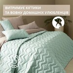 Покрывало ЛЮКС TM IDEIA 240 x 260 см мята/серый - фото 4