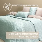 Покрывало ЛЮКС TM IDEIA 240 x 260 см мята/серый - фото 9