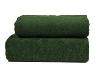 Рушник Parisa Flat Cotton 50x90 (H-500 - зелений)