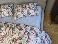 Комплект постільної білизни Сніговикиблакитний Turkish Flannel 5D