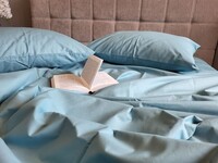 Комплект постельного белья SOLO №590, cotton