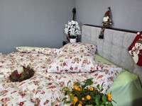 Комплект постельного белья Совенята, cotton - фото 3
