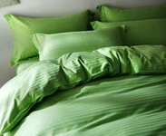 Комплект постельного белья Stripe LUX GREEN GRASS 1/1см