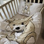 Комплект постельного белья Teddy bear, cotton