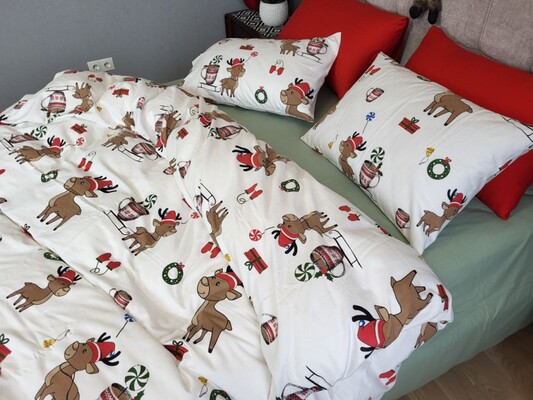 Комплект постельного белья Гостинцы, Turkish flannel