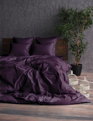 Комплект постельного белья Stripe LUX DEEP PLUM 1/1см