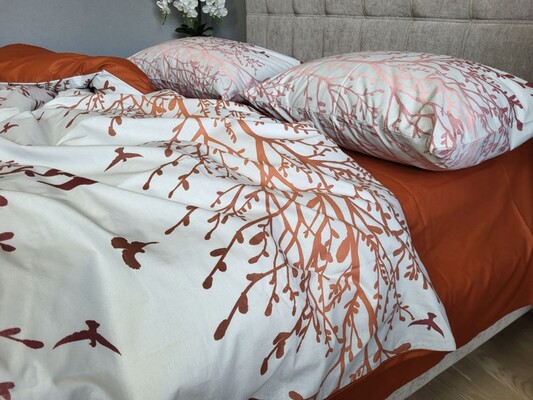 Комплект постельного белья Мираж терракот, cotton