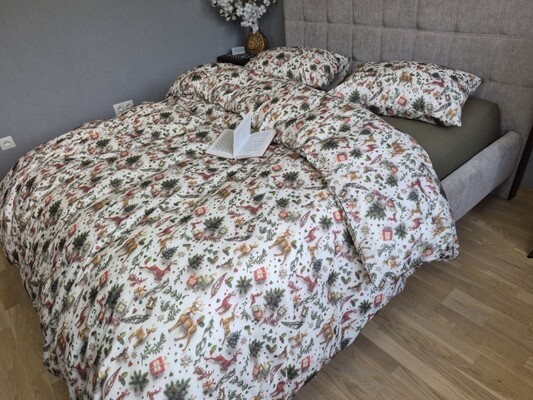 Комплект постільної білизни Різдвяні історіїхакі Turkish Flannel 5D новорічний