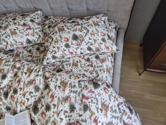 Комплект постільної білизни Різдвяні історії Turkish Flannel 5D новорічний