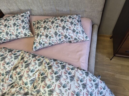 Комплект постільної білизни Шапуліпудра Turkish Flannel 5D зі сніговиками та шапками