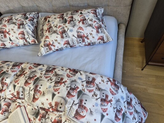 Комплект постільної білизни Сніговикиблакитний Turkish Flannel 5D