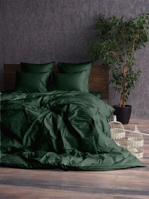 Комплект постельного белья Stripe LUX GREEN 1/1см