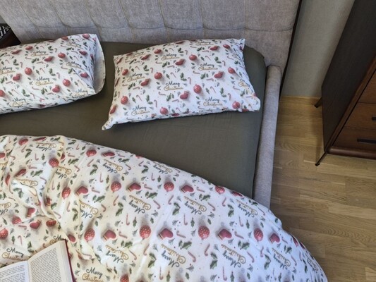 Комплект постільної білизни Святковий Настрійхакі Turkish Flannel 5D Merry Christmas