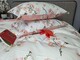 Комплект постельного белья Adagio coral, cotton