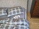Комплект постільної білизни Горець/сіра гавань, Turkish flannel