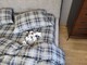 Комплект постільної білизни Горець, Turkish flannel