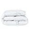 Ковдра дитяча літня 100x135 см Soft PAPAELLA, антиалергенна, штучний пух, біла