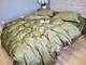Комплект постельного белья OLIVE TREE, Turkish satin