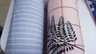 Комплект постельного белья Папоротник, ранфорс