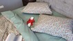 Комплект постельного белья Сountry sagebrush , cotton