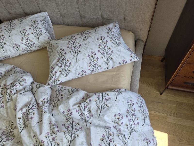 Комплект постільної білизни Turkish Cotton Гілочка, бежевий - зображення 8
