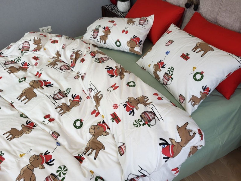 Комплект постільної білизни Гостинці, Turkish flannel - зображення 1