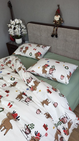 Комплект постільної білизни Гостинці, Turkish flannel - зображення 12