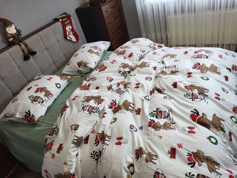 Комплект постільної білизни Гостинці, Turkish flannel - зображення 14