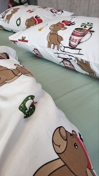 Комплект постільної білизни Гостинці, Turkish flannel - зображення 17
