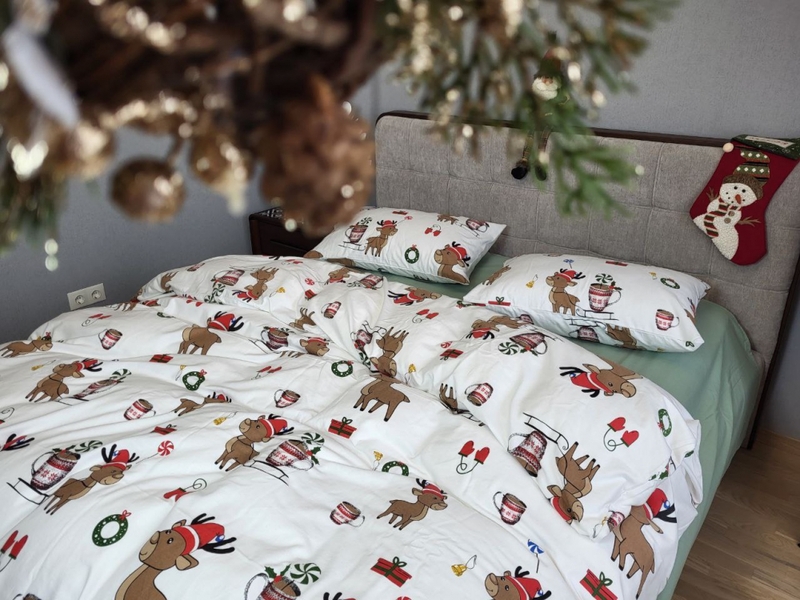 Комплект постільної білизни Гостинці, Turkish flannel - зображення 21