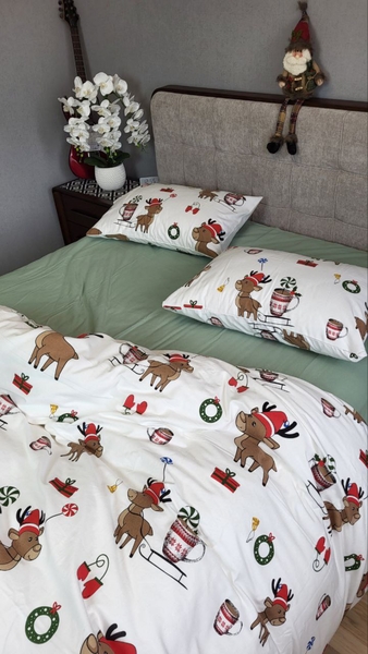 Комплект постільної білизни Гостинці, Turkish flannel - зображення 30