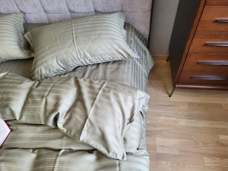 Комплект постільної білизни MULTI stripe RIPE OLIVE - зображення 1