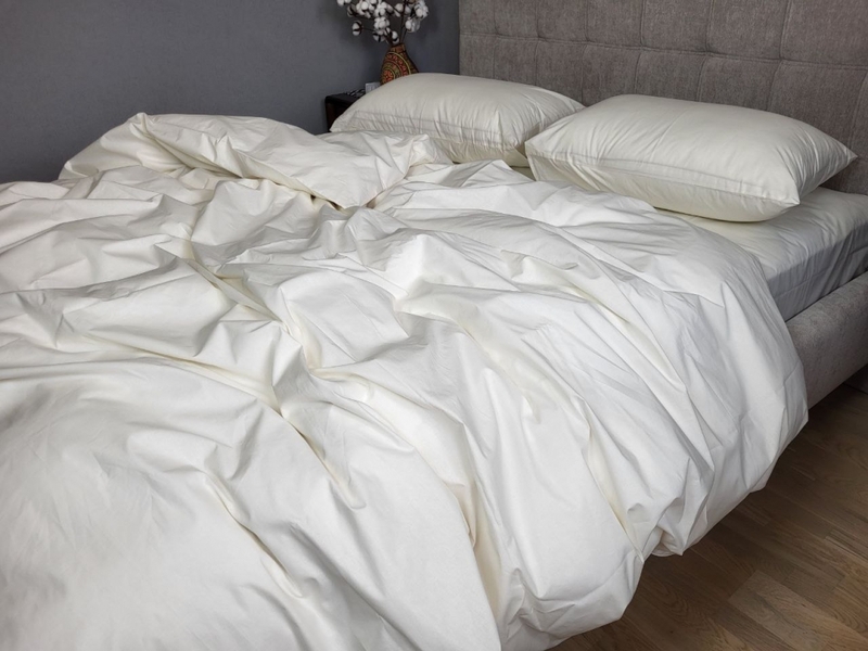 Комплект постельного белья SOLO № S101, cotton - изображение 1