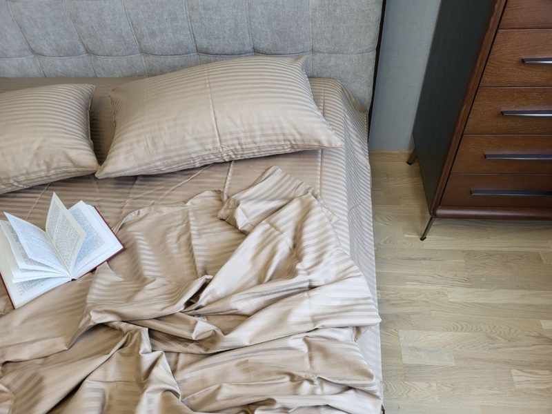 Комплект постельного белья Stripe LUX BEIGE TONE 1/1см - изображение 2