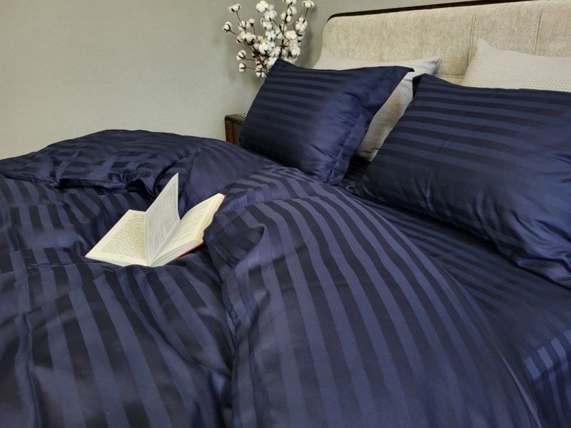 Комплект постільної білизни Stripe PREMIUM, BLUE BERRY 2/2см - зображення 1