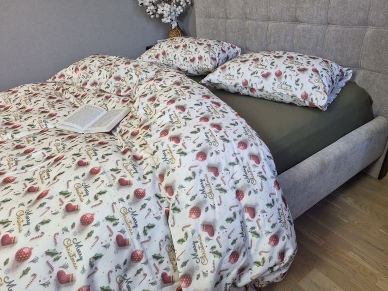 Комплект постільної білизни Святковий Настрійхакі Turkish Flannel 5D Merry Christmas - зображення 6