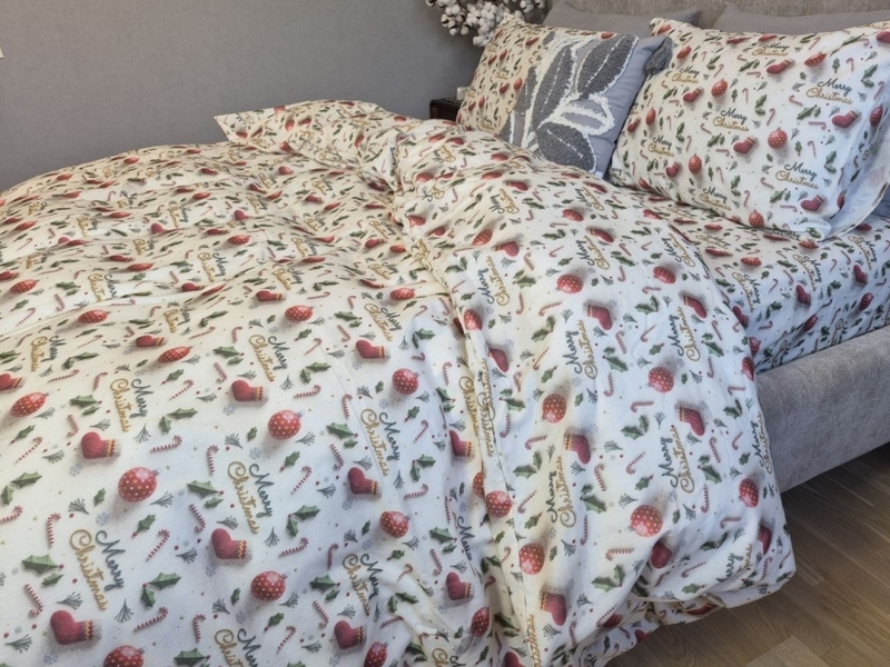 Комплект постільної білизни Святковий Настрійхакі Turkish Flannel 5D Merry Christmas - зображення 2