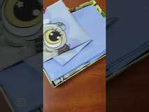 Огляд дитячої постільної білизни з турецького котону (поплін) Owl